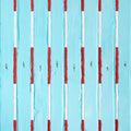Werner Bronkhurst inspired painting Swim Lane